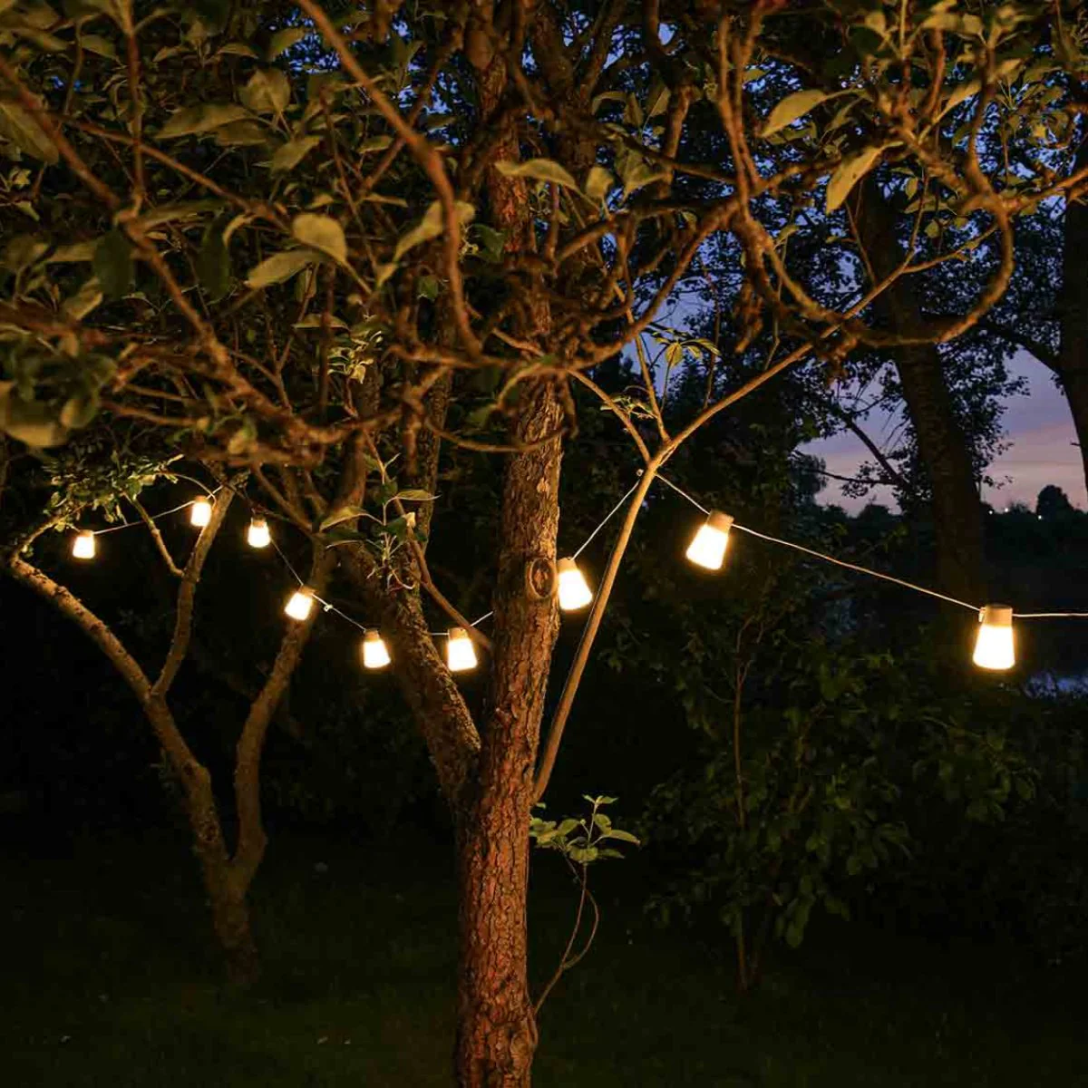 Extreme Lounging B-Bulb Connect Outdoor Festoon Lights - Image 3