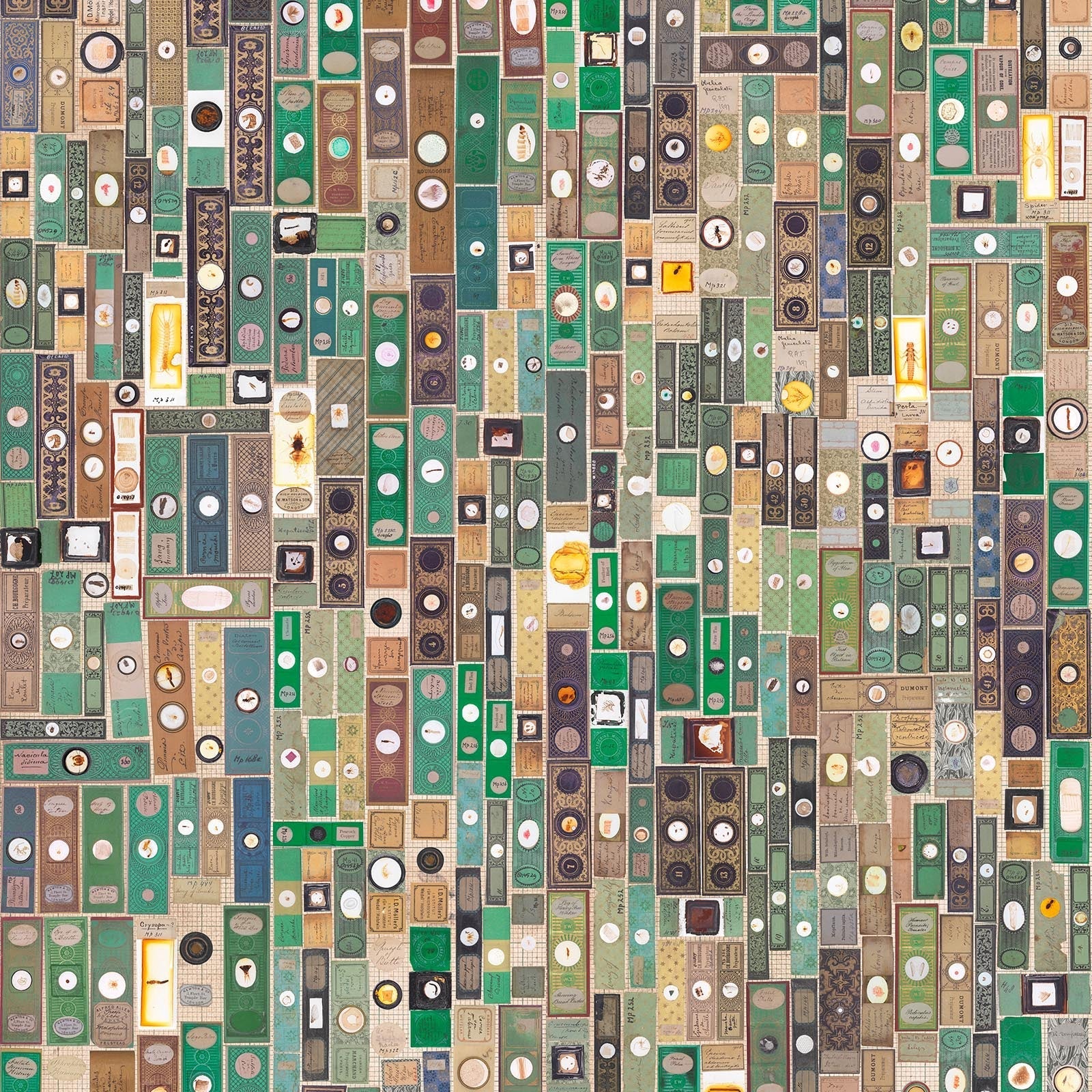 NLXL Microscopic Slides Wallpaper MRV-10 - Image 3